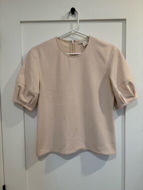 Club Monaco Blush Balloon Sleeved Top